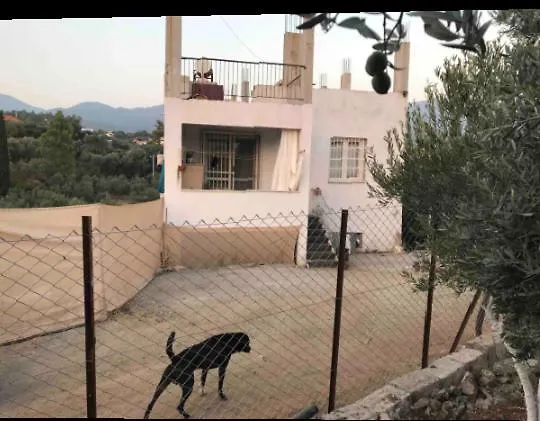 Villa Emirhan 2, Doga Ile Vadi Icinde, Sakinlik フェティエ 0*,  トルコ